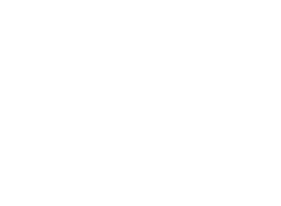 Austin Companies